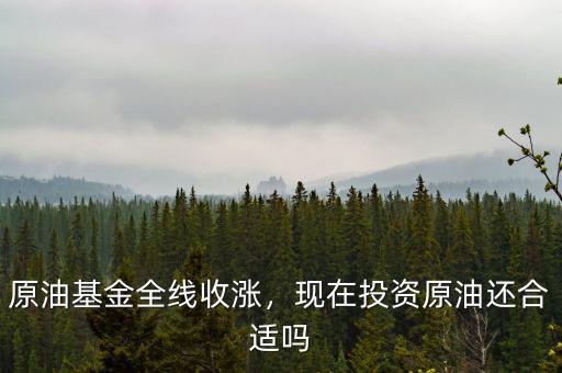 原油基金怎么買(mǎi),原油基金全線(xiàn)收漲
