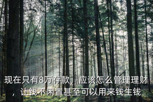 現(xiàn)在只有8萬存款，應(yīng)該怎么管理理財(cái)，讓錢不閑置甚至可以用來錢生錢