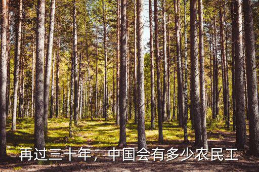 再過三十年，中國會(huì)有多少農(nóng)民工