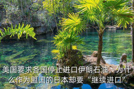 美國要求各國停止進口伊朗石油，為什么作為盟國的日本卻要“繼續(xù)進口”