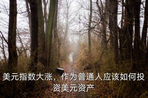 美元指數(shù)大漲，作為普通人應(yīng)該如何投資美元資產(chǎn)