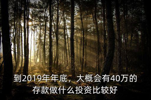 到2019年年底，大概會(huì)有40萬的存款做什么投資比較好