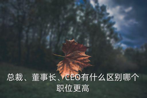 總裁、董事長、CEO有什么區(qū)別哪個職位更高