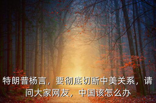 特朗普楊言，要徹底切斷中美關(guān)系，請(qǐng)問大家網(wǎng)友，中國(guó)該怎么辦