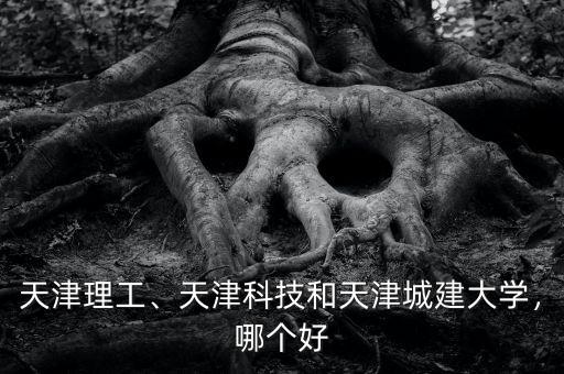 天津理工、天津科技和天津城建大學(xué)，哪個好