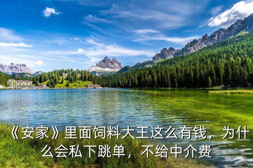 《安家》里面飼料大王這么有錢，為什么會(huì)私下跳單，不給中介費(fèi)