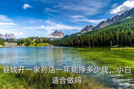 縣城開一家藥店一年能掙多少錢，小白適合做嗎