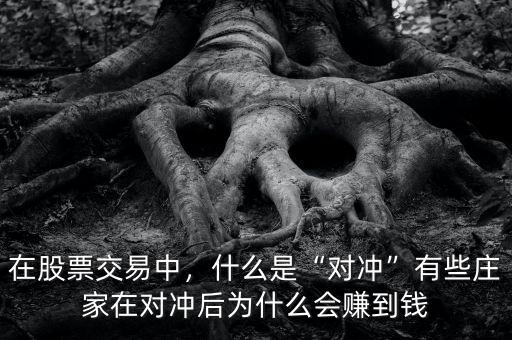 在股票交易中，什么是“對(duì)沖”有些莊家在對(duì)沖后為什么會(huì)賺到錢(qián)