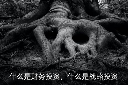 什么是財(cái)務(wù)投資，什么是戰(zhàn)略投資