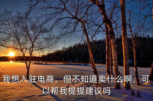 我想入駐電商，但不知道賣什么啊，可以幫我提提建議嗎