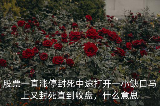股票一直漲停封死中途打開一小缺口馬上又封死直到收盤，什么意思
