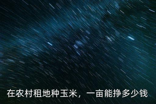 在農(nóng)村租地種玉米，一畝能掙多少錢