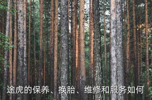 途虎的保養(yǎng)、換胎、維修和服務(wù)如何
