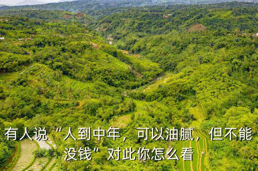 有人說“人到中年，可以油膩，但不能沒錢”對此你怎么看