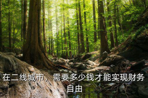 在二線城市，需要多少錢才能實現(xiàn)財務(wù)自由