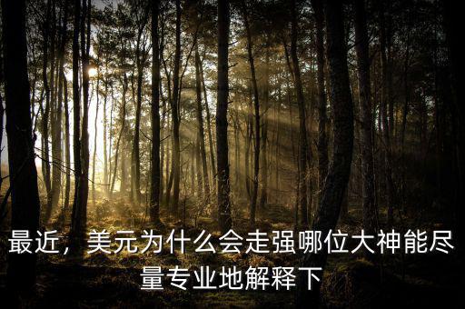 最近，美元為什么會走強哪位大神能盡量專業(yè)地解釋下