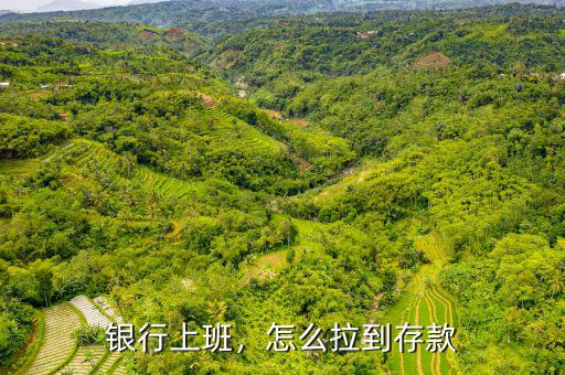 銀行上班，怎么拉到存款
