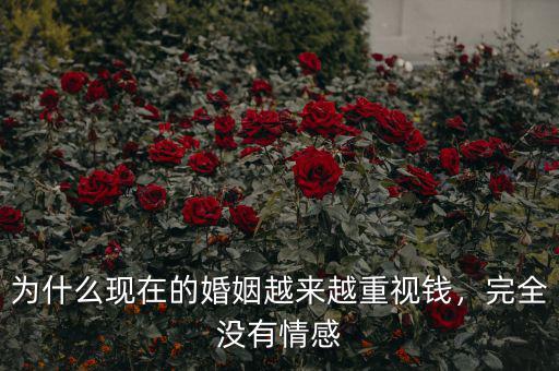 為什么現(xiàn)在的婚姻越來越重視錢，完全沒有情感