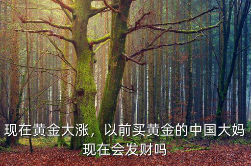 現(xiàn)在黃金大漲，以前買黃金的中國大媽現(xiàn)在會發(fā)財嗎