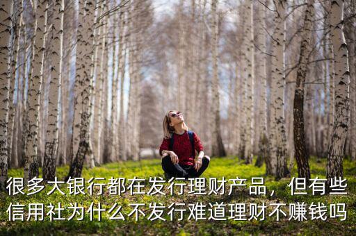 很多大銀行都在發(fā)行理財(cái)產(chǎn)品，但有些信用社為什么不發(fā)行難道理財(cái)不賺錢嗎