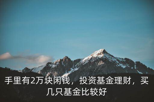 20萬(wàn)買(mǎi)什么基金好,買(mǎi)幾只基金比較好