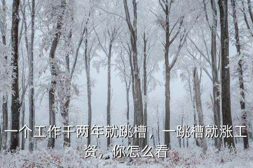 一個(gè)工作干兩年就跳槽，一跳槽就漲工資，你怎么看