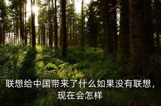 聯(lián)想給中國帶來了什么如果沒有聯(lián)想，現(xiàn)在會怎樣