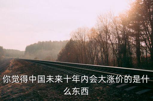 你覺得中國未來十年內(nèi)會大漲價(jià)的是什么東西