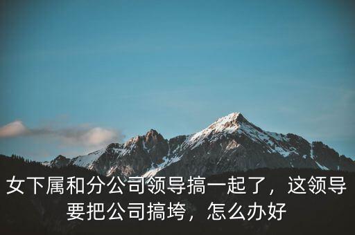 女下屬和分公司領導搞一起了，這領導要把公司搞垮，怎么辦好