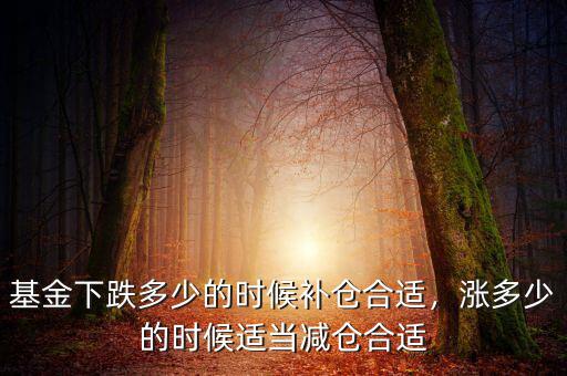 基金下跌多少的時(shí)候補(bǔ)倉合適，漲多少的時(shí)候適當(dāng)減倉合適