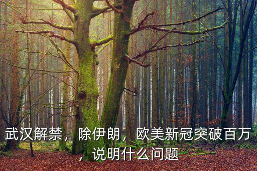 武漢解禁，除伊朗，歐美新冠突破百萬(wàn)，說(shuō)明什么問(wèn)題