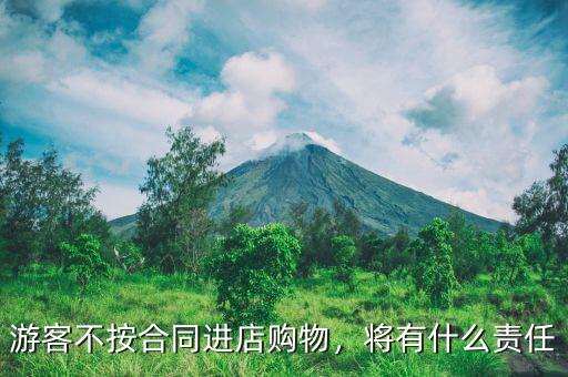 游客不按合同進店購物，將有什么責(zé)任