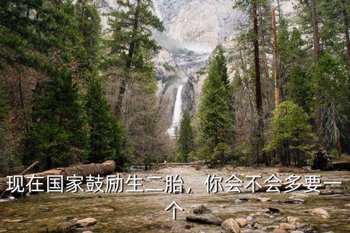 現(xiàn)在國家鼓勵生二胎，你會不會多要一個