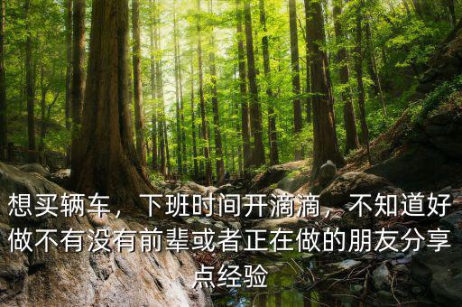 想買輛車，下班時(shí)間開滴滴，不知道好做不有沒有前輩或者正在做的朋友分享點(diǎn)經(jīng)驗(yàn)