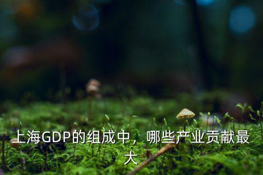 上海的重點產業(yè)是什么,上海GDP的組成中
