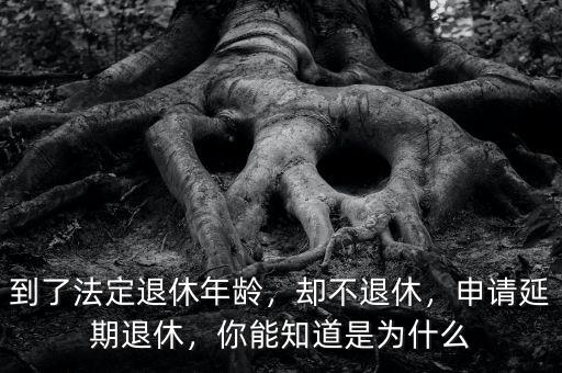 到了法定退休年齡，卻不退休，申請延期退休，你能知道是為什么