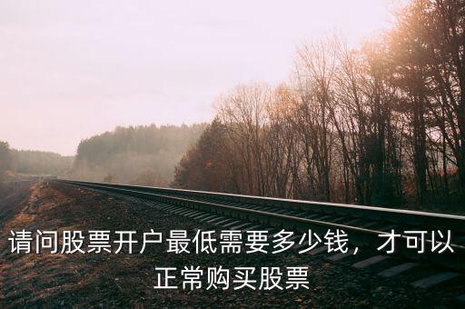 請(qǐng)問股票開戶最低需要多少錢，才可以正常購買股票