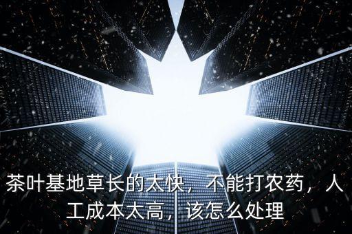 茶葉基地草長的太快，不能打農(nóng)藥，人工成本太高，該怎么處理
