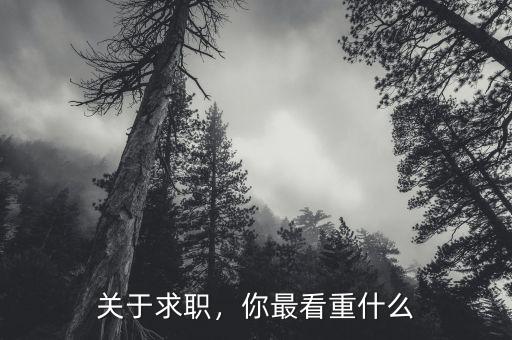 關(guān)于求職，你最看重什么