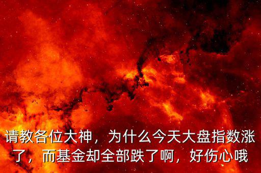 請(qǐng)教各位大神，為什么今天大盤指數(shù)漲了，而基金卻全部跌了啊，好傷心哦