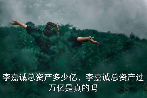 李嘉誠總資產(chǎn)多少億，李嘉誠總資產(chǎn)過萬億是真的嗎