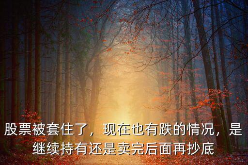 股票被套住了，現(xiàn)在也有跌的情況，是繼續(xù)持有還是賣完后面再抄底