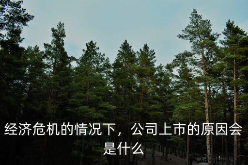 經(jīng)濟(jì)危機(jī)的情況下，公司上市的原因會(huì)是什么