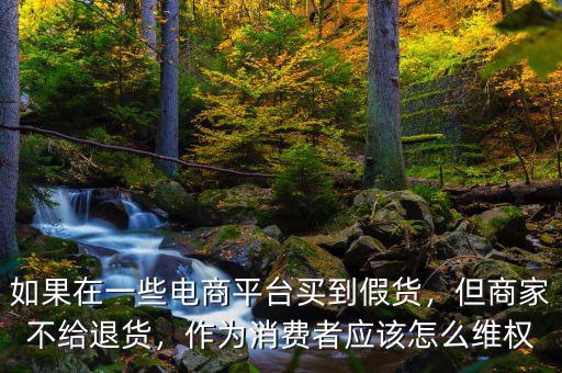 如果在一些電商平臺買到假貨，但商家不給退貨，作為消費者應(yīng)該怎么維權(quán)