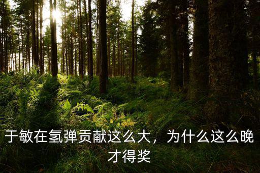 于敏在氫彈貢獻(xiàn)這么大，為什么這么晚才得獎(jiǎng)
