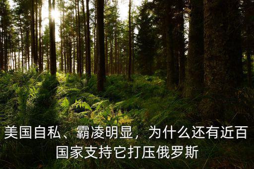 美國自私、霸凌明顯，為什么還有近百國家支持它打壓俄羅斯