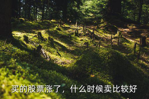 買的股票漲了，什么時(shí)候賣比較好