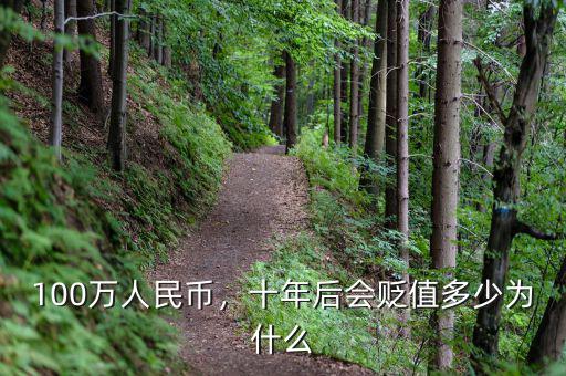 100萬人民幣，十年后會貶值多少為什么