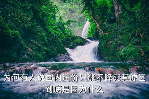 為什么中國油價(jià)不降,為何有人說國內(nèi)油價(jià)只漲不降
