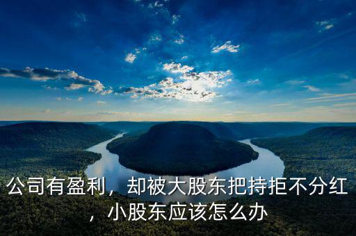 公司有盈利，卻被大股東把持拒不分紅，小股東應(yīng)該怎么辦